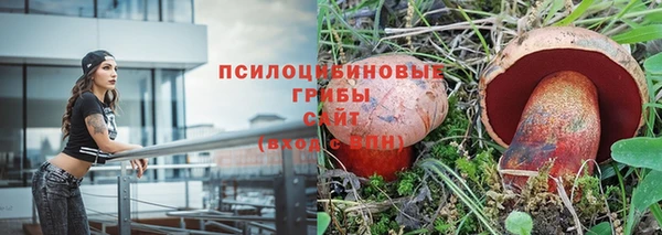 spice Покров