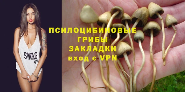 mix Ельня