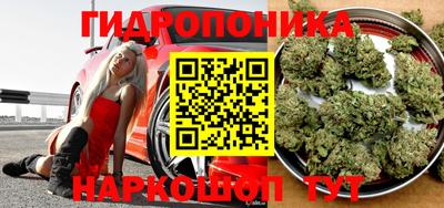 соль ск Аргун