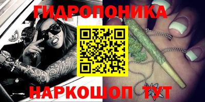 соль ск Аргун