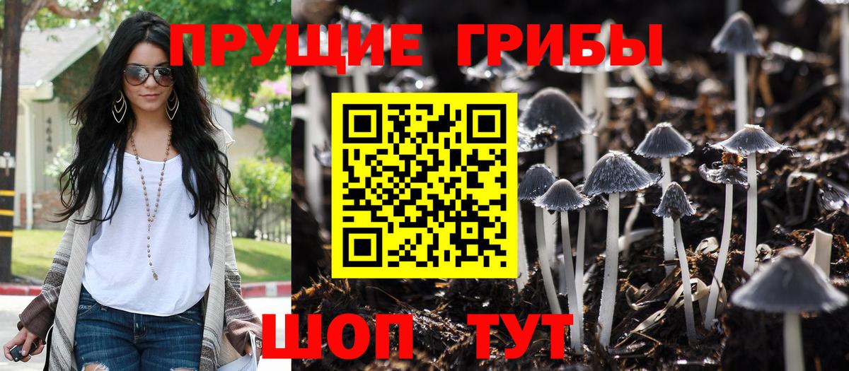 Галлюциногенные грибы прущие грибы  Барнаул  Галлюциногенные грибы прущие грибы 