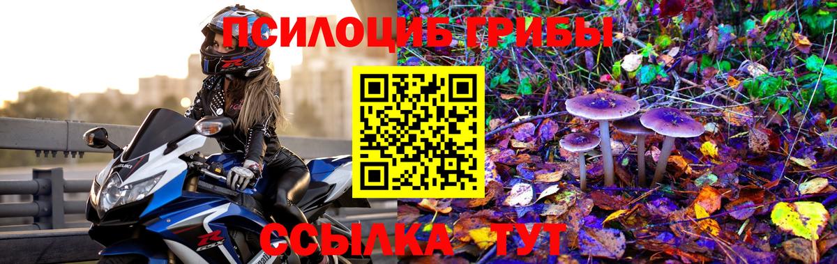 NBOMe Барнаул
