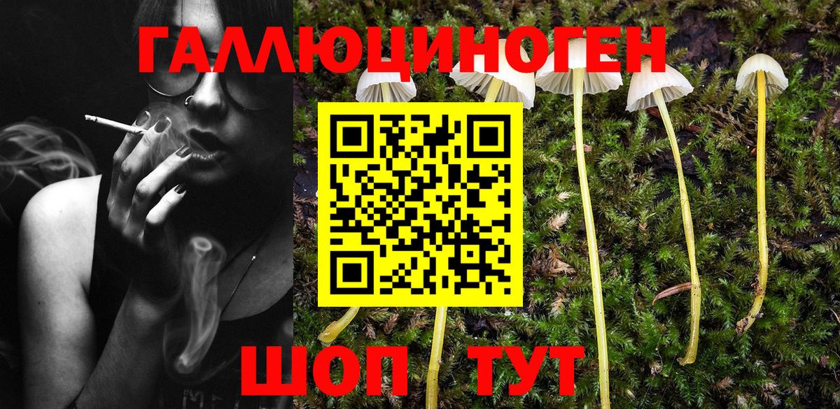 Псилоцибиновые грибы мухоморы Барнаул