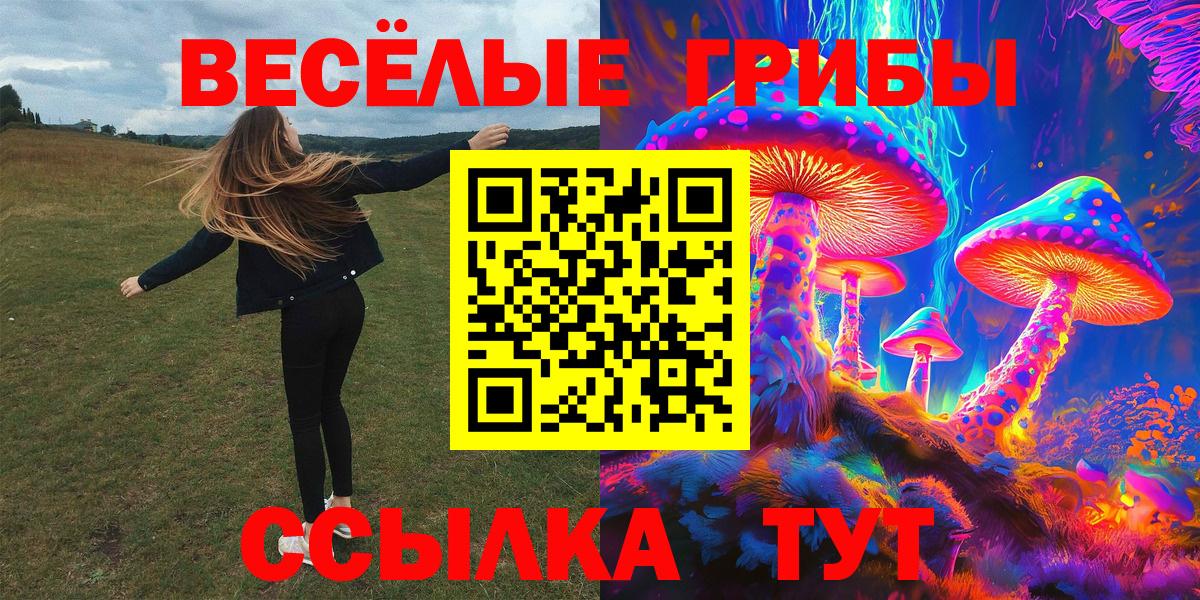 Псилоцибиновые грибы мицелий  купить   Барнаул  Вход с VPN 